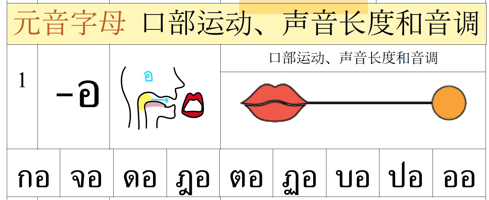 元音字母的口部运动声音长度和音调